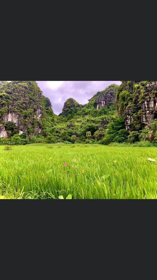 Tam Coc Scenery Homestay Van Lam Ngoại thất bức ảnh